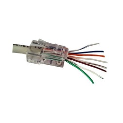 Conector Cat6 UTP macho